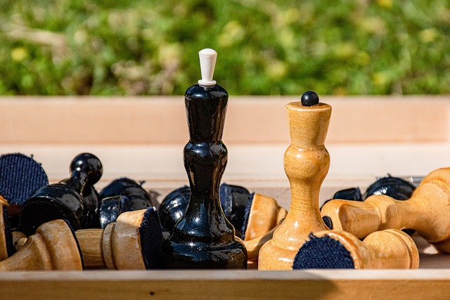 他们是知名体操伉俪，退役后一起移居美国，如今却在美国官司缠身